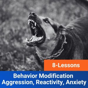 Behavior Modification Aggression, Reactivity, Anxiety