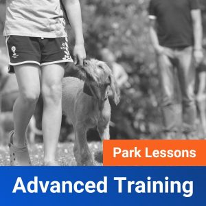 Advanced Training