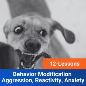 12-Lesson Behavior Modification Aggression, Reactivity, Anxiety
