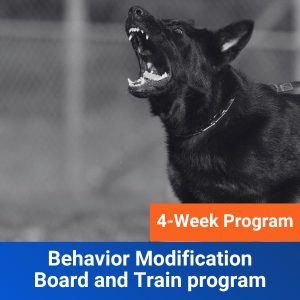4 Week Behavior Modification Board and Train