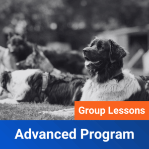 Advanced Group Lesson Program