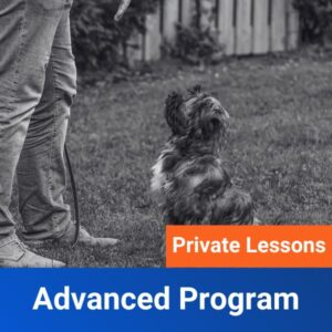 Advanced Private Lesson Program