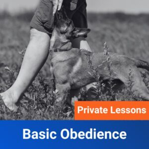 Basic Private Lesson Program