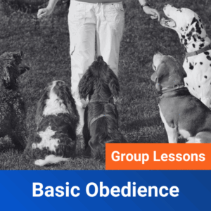 Basic Obedience Group Lessons