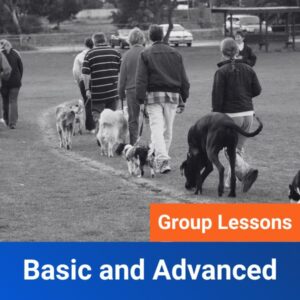 Complete Basic and Advanced Program Group Lesson Program