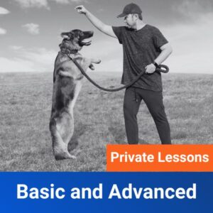 Basic and Advanced Private Lesson Program