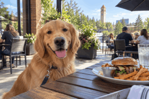 Golden retriever at dog-friendly restaurants in Spokane