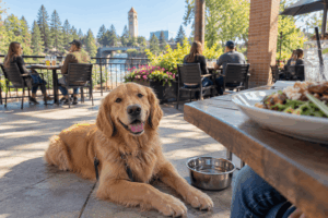 Owner dining with a dog at a dog-friendly Spokane restaurant